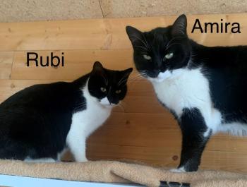 Rubi Bild von Rubi