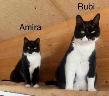 Rubi Bild von Rubi