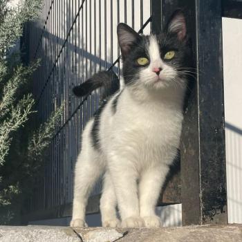 Bild von Lola