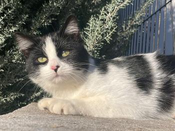 Bild von Lola