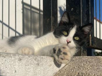 Bild von Lola
