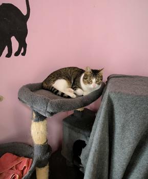Oscar Bild von Oscar