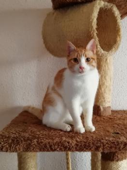 Lucrecia Bild von Lucrecia