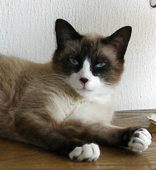 Olin Bild von Olin