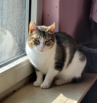 Oscar Bild von Oscar