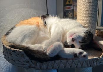 Mina Bild von Mina