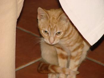 Lili Bild von Tucker