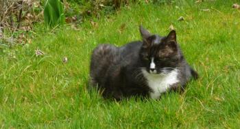 Susi Bild von Susi