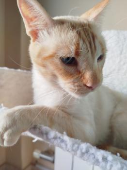 Bild von Harpo