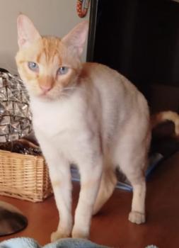 Bild von Harpo