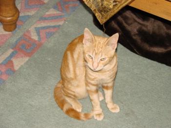 ^Lili Bild von Tucker