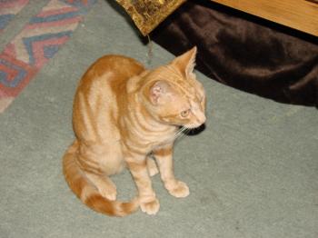 Lili Bild von Tucker