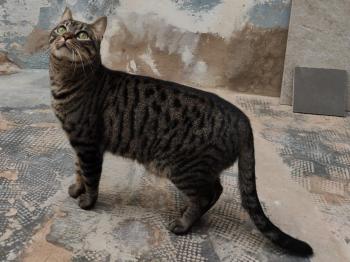 Ray Bild von Ray