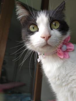 Suki Bild von Suki