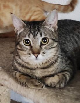 Lilou Bild von Lilou