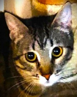 Lilou Bild von Lilou