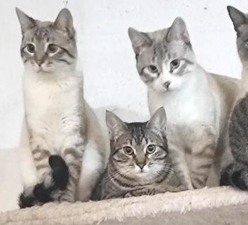 Lilou Bild von Lilou