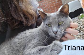 Triana Bild von Triana
