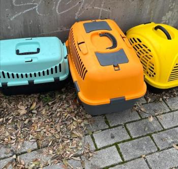 Bio Bild von Bio