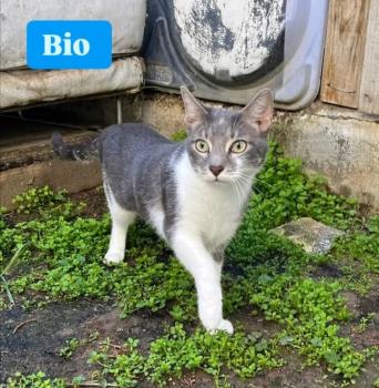 Bio Bild von Bio