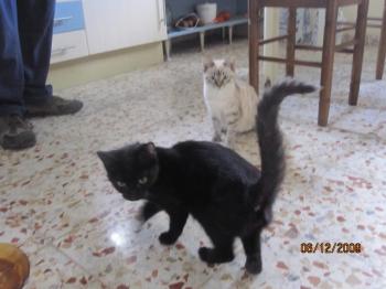 Pablito und Frund Bild von Pablito