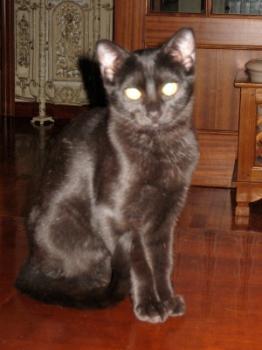 Lola Bild von Lola