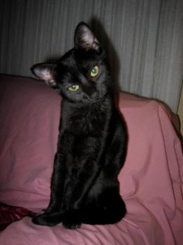 Lola Bild von Lola