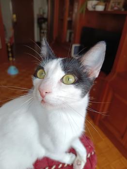 Eliot Bild von Eliot