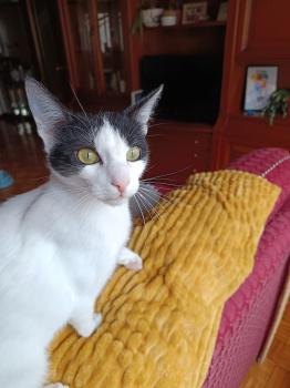 Eliot Bild von Eliot