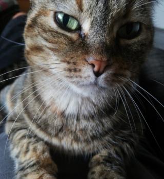 Hannah Bild von Hannah