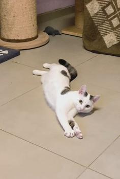 Anastasia Bild von Anastasia