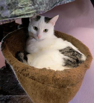 Anastasia Bild von Anastasia
