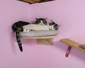 Mascha Bild von Mascha