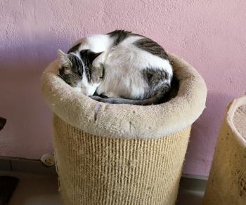 Mascha Bild von Mascha