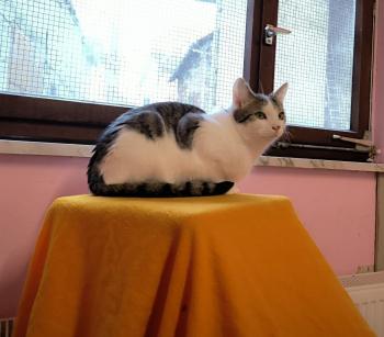 Mascha Bild von Mascha