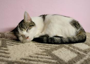 Mascha Bild von Mascha
