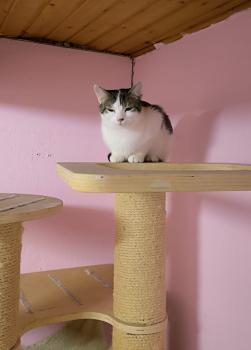 Mascha Bild von Mascha