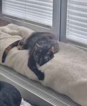 Fifi Bild von Fifi