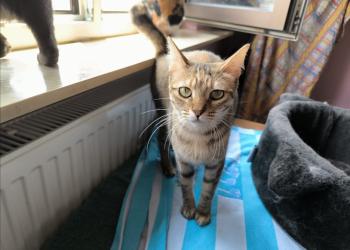 Minnie Bild von Minnie