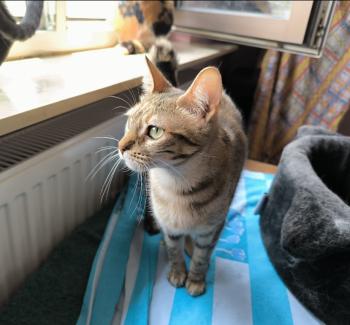 Minnie Bild von Minnie