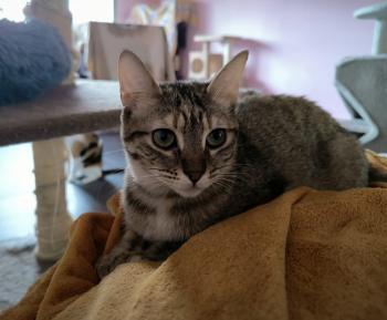 Minnie Bild von Minnie