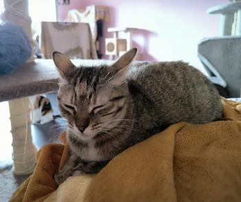 Minnie Bild von Minnie