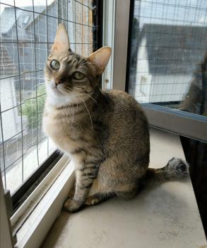 Minnie Bild von Minnie