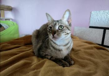 Minnie Bild von Minnie