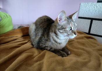 Minnie Bild von Minnie