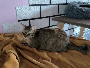 Minnie Bild von Minnie