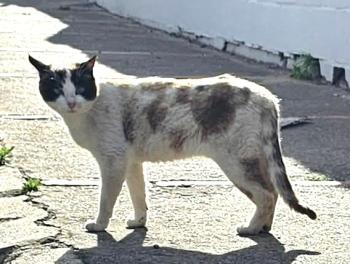 Bild von Betty