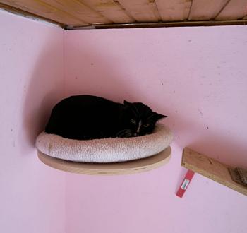 Bild von Vladimir