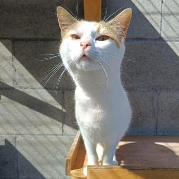 Muneca Bild von Muneca