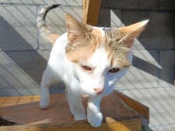 Muneca Bild von Muneca